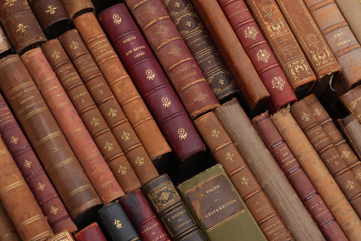 Estantería con lomos de libros antiguos de piel en tonos marrones y granates, similares al ejemplar del libro escondido en la chimenea de Kiama.