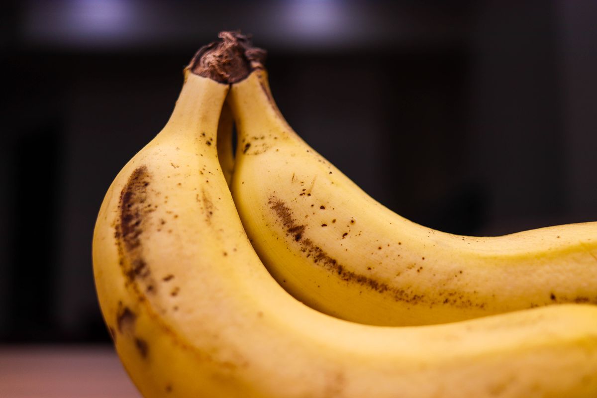 Primer plano de dos plátanos maduros con pequeñas manchas marrones sobre un fondo oscuro, la fruta detrás del concepto de plátanos radiactivos.