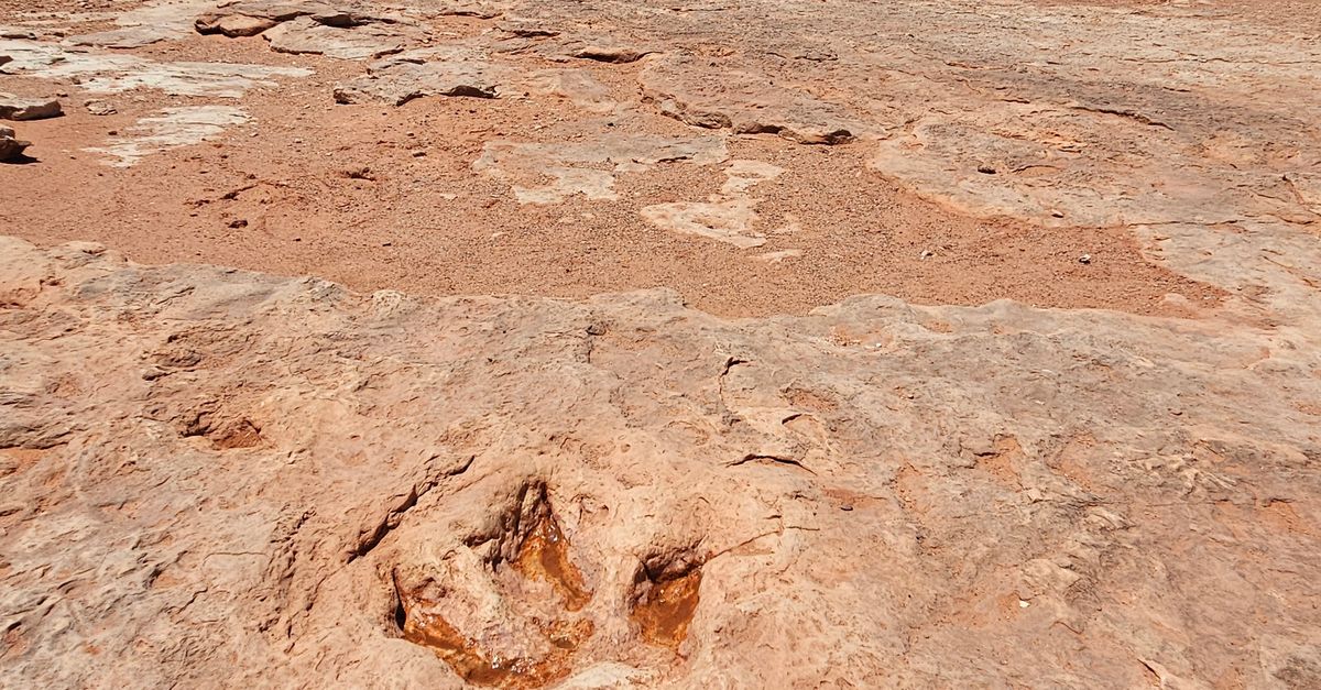 Huella fósil tridáctila de un T. rex adulto marcada en la roca rojiza de las badlands de Dakota del Norte.
