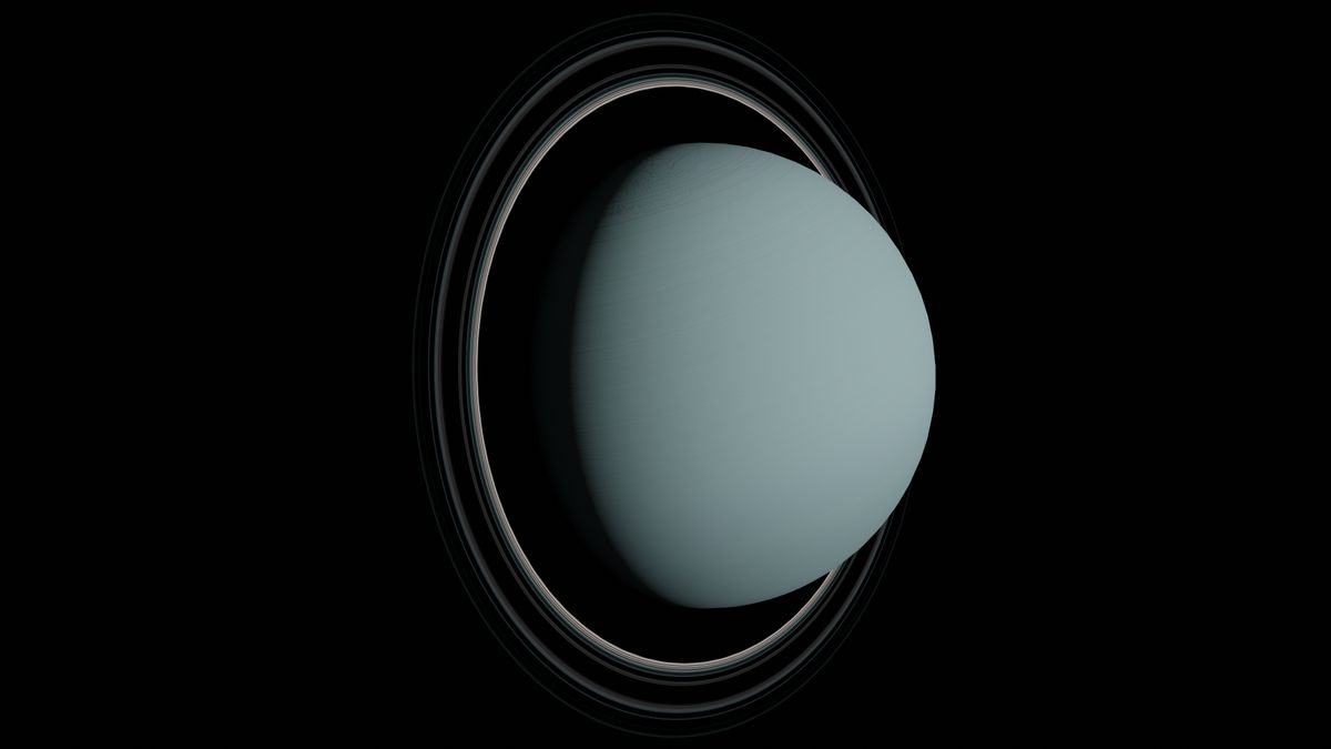 Ilustración del planeta Urano visto de perfil, rodeado por su sistema de anillos, sobre el fondo negro del espacio.